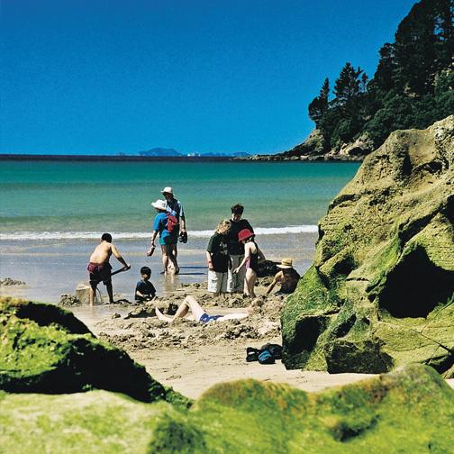 CoromandelAdven's tweet photo. Spare 2 days? Enjoy our Classic 2 day package - Hot Water Beach, Cathedral Cove and more! http://t.co/3ltDGf39Rt http://t.co/UawBRp48dR