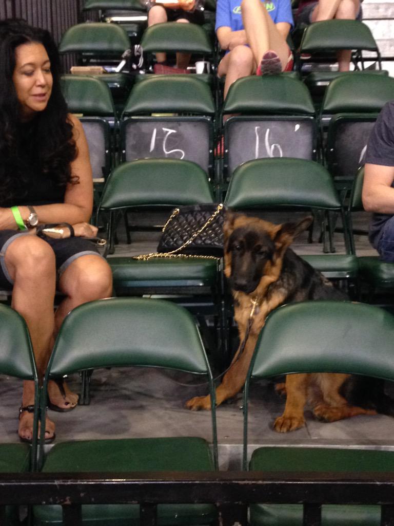 austin_spurs's tweet photo. Kyle Anderson's puppy Steel came to support Hoops N Hounds night at Cedar Park Center! #family #goAustinSpursgo http://t.co/JCOeS17Mnl