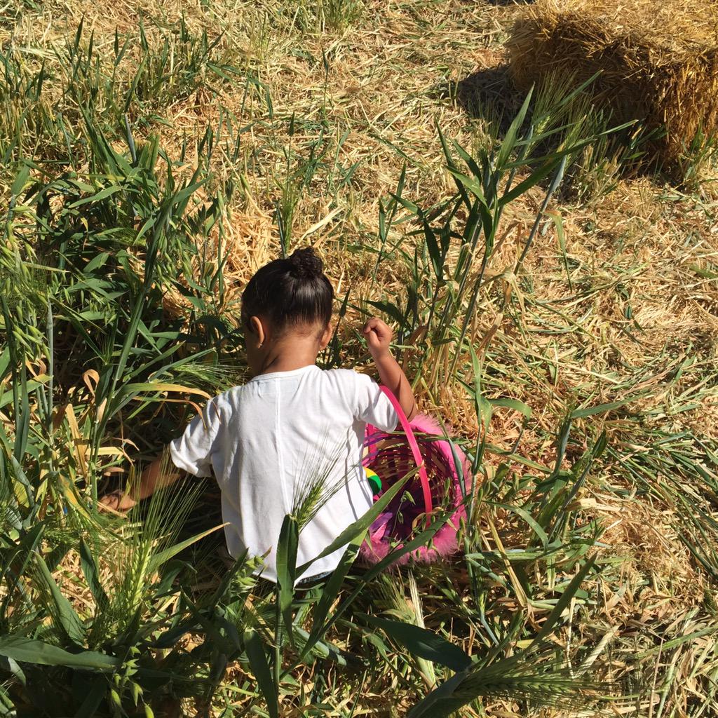 My baby girl on the hunt for Easter eggs at the farm! #PerfectSunday