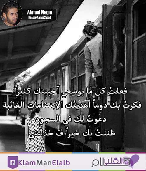 MayaMoubayed tweet picture