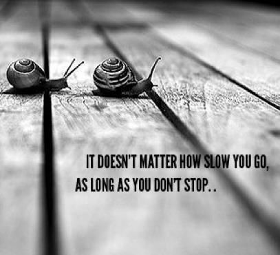 EyeonesKids's tweet photo. It does not matter how slowly you go as long as you do not stop. http://t.co/dWEBsPGxDR http://t.co/DmycfQNkbR