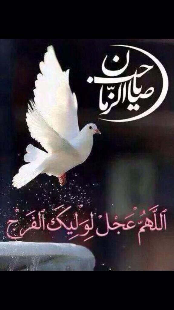كل صباح سانادي💖
(اربدامانا يابن فاطمة مستمسكا بيدي من طوارق الزمن)
بارب حسن الخاتمة