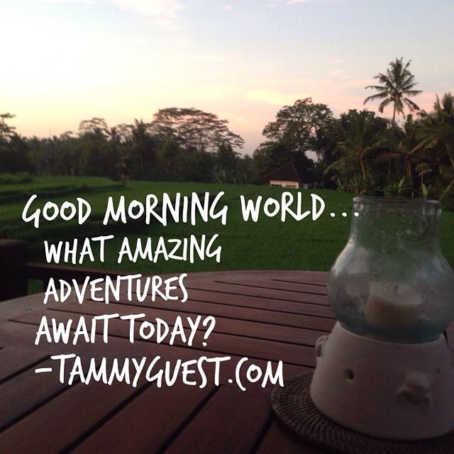 BEResort tweet picture