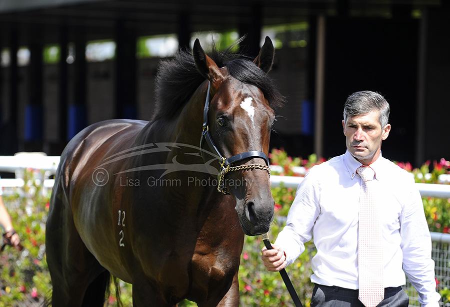 LisaGrimm9's tweet photo. Who's the lucky stud...who wouldn't want him in the stallion barn ? #Vancouver #glamour #masculine #allroundpackage http://t.co/SWM6mMkaHt