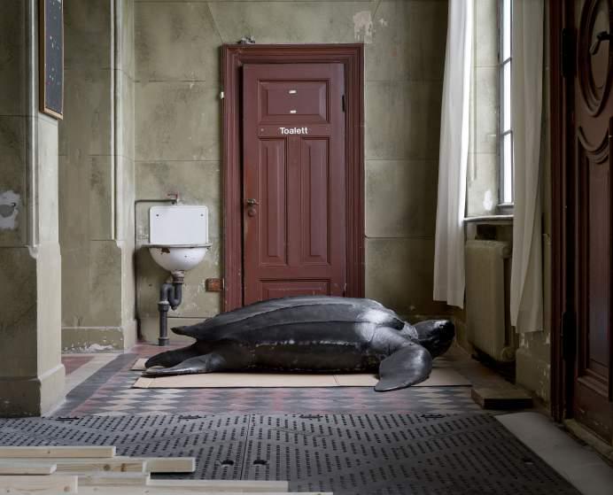 TIME's tweet photo. Documenting the strangest animal exhibit you'll ever see http://t.co/YlTV2FEkyo Photo: Helge Skodvin—Moment/Institute http://t.co/cbcaXkJ6sN