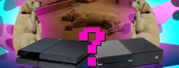 ShootBarrel's tweet photo. This funny YouTube clip of Bizkit the sleepwalking dog looks the same on PS4 and Xbox One http://t.co/En3wzOX6Iq http://t.co/6F5xSuZRmp
