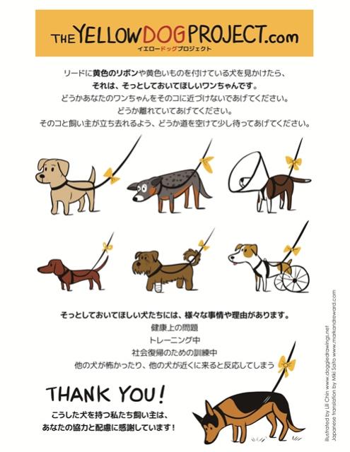 mynavianimal's tweet photo. 勉強になりました
⇒黄色いリボンをつけた犬に近づいてはいけない理由
http://t.co/b2BNOLTVJi http://t.co/R4h4d8u1UH