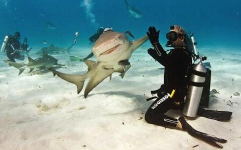 sovirul's tweet photo. 11 epic and perfectly timed photos: http://t.co/U3YbAYD2Hr http://t.co/58sw6CXD2C