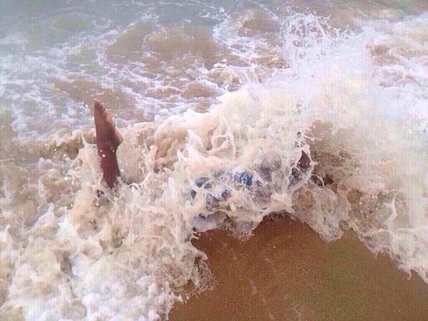 "habrá sexta temporada de twd"

"es en octubre, o sea, dentro de siete meses"