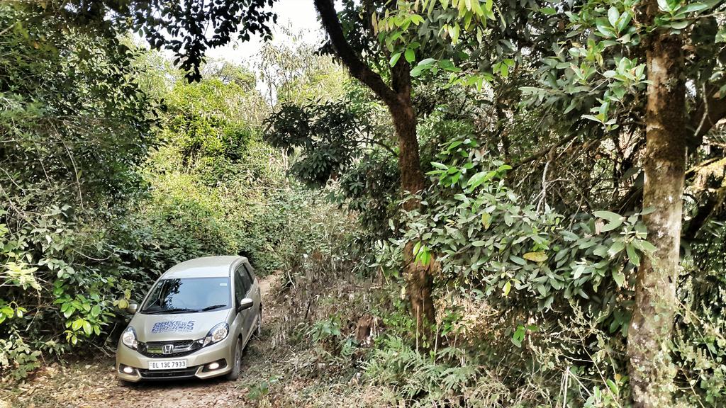 ShantonilNag's tweet photo. @HondaCarIndia #DriveToDiscover5 exploring Coorg. @BunnyPunia @KanikaSood14 http://t.co/XLDo0zKy31
