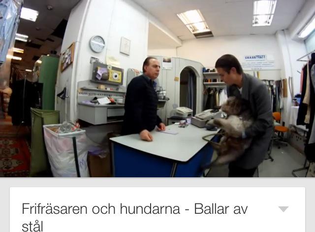 HouseRasmus's tweet photo. Så jävla bra! #tbt #frifrässaren @MessiahHallberg http://t.co/NK4mHwotdd