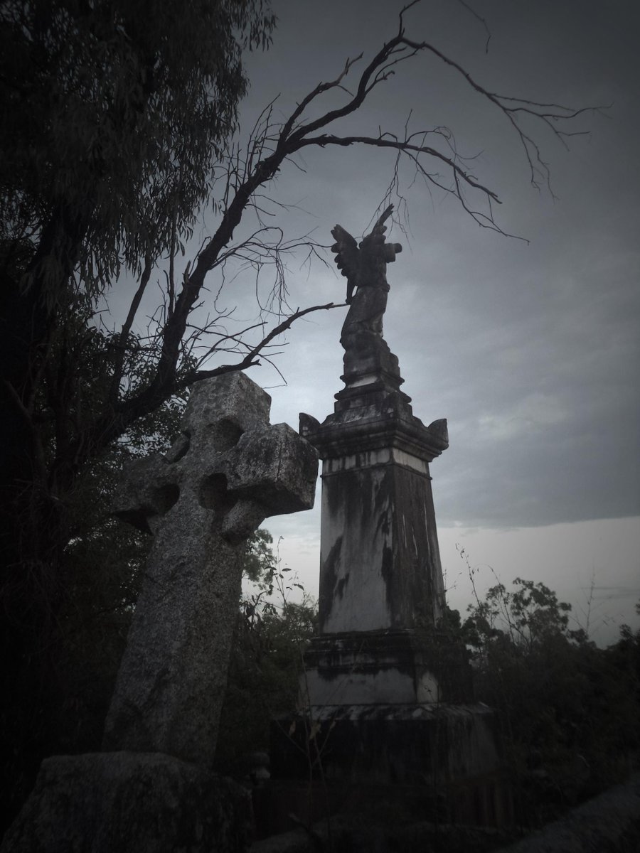 AwkwardPhotoing's tweet image. ~Angels looking over~