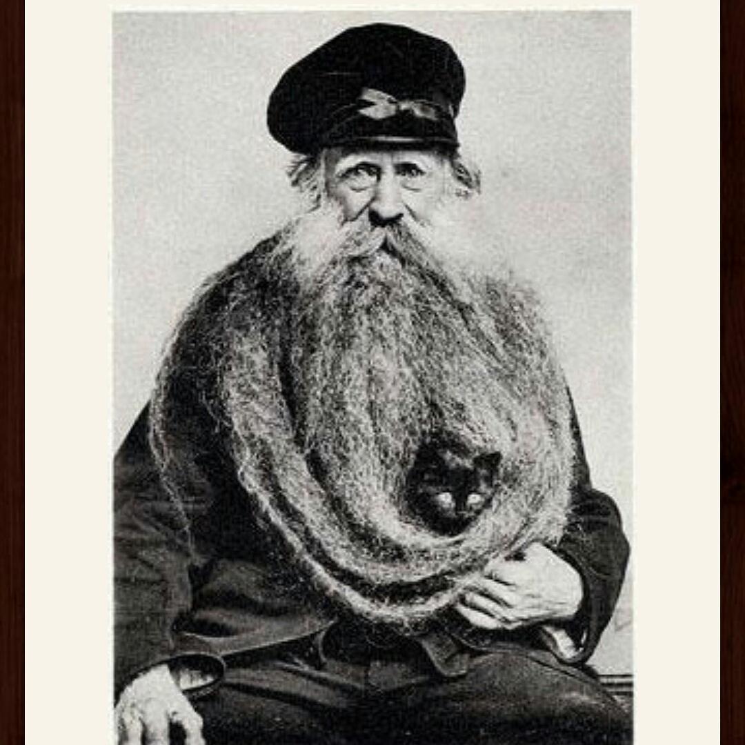 _Holdenup's tweet photo. New beard goals. 
#maothecat #beard http://t.co/dQcc68LXny