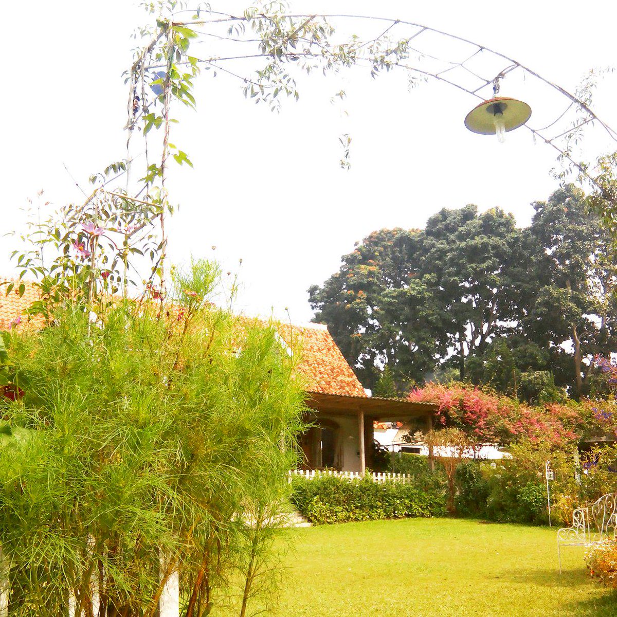 secrtGARDENcafe's tweet photo. #mysecretgardenresto #westernfood #indonesianmenu #restobandung #cafebandung http://t.co/jXYl5P2zk9