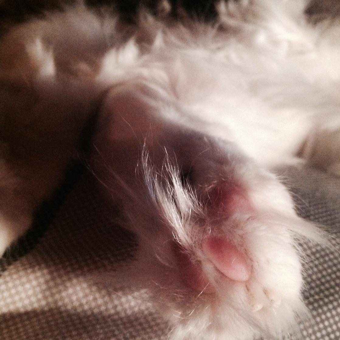 3ippi's tweet image. zzzzzzzzz