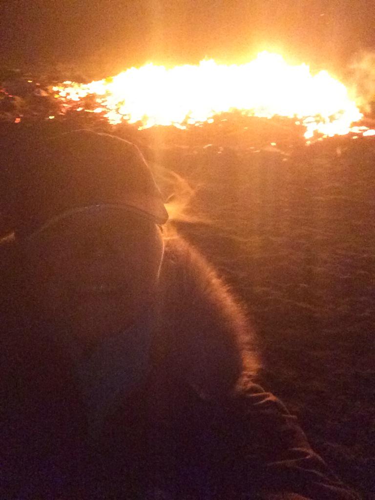 hoopelien's tweet image. Na drukke examenperiode voor #CREFmethode trainer heerlijk uitgewaaid en gewandeld  @fjoertoer op Terschelling