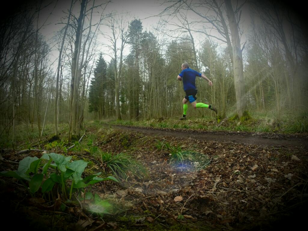 _Padders's tweet image. Smashed myself 'round the forest this morning. #run #pigsdofly