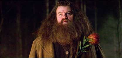 Happy Birthday Robbie Coltrane! The Scottish actor played Hagrid in the Harry Potter series. 