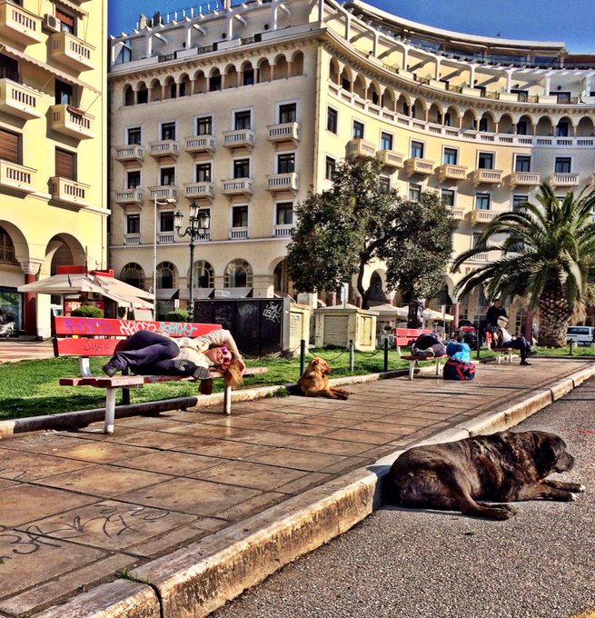 Good bye Thessaloniki! Mare yoga e beata tra i barboni! @muti_ornella @siriadefazio @GPanellaa http://t