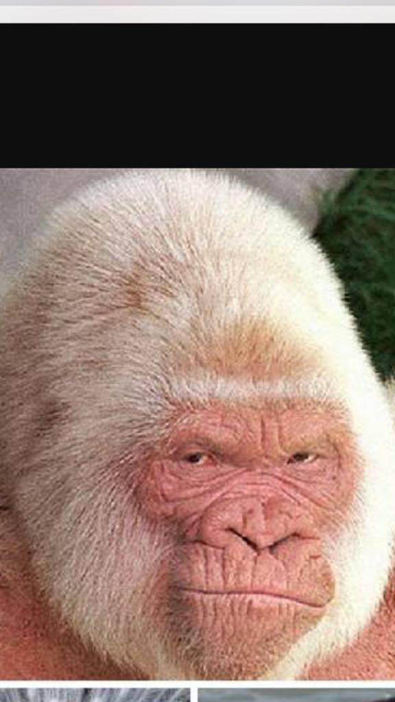  happy birthday young buck  