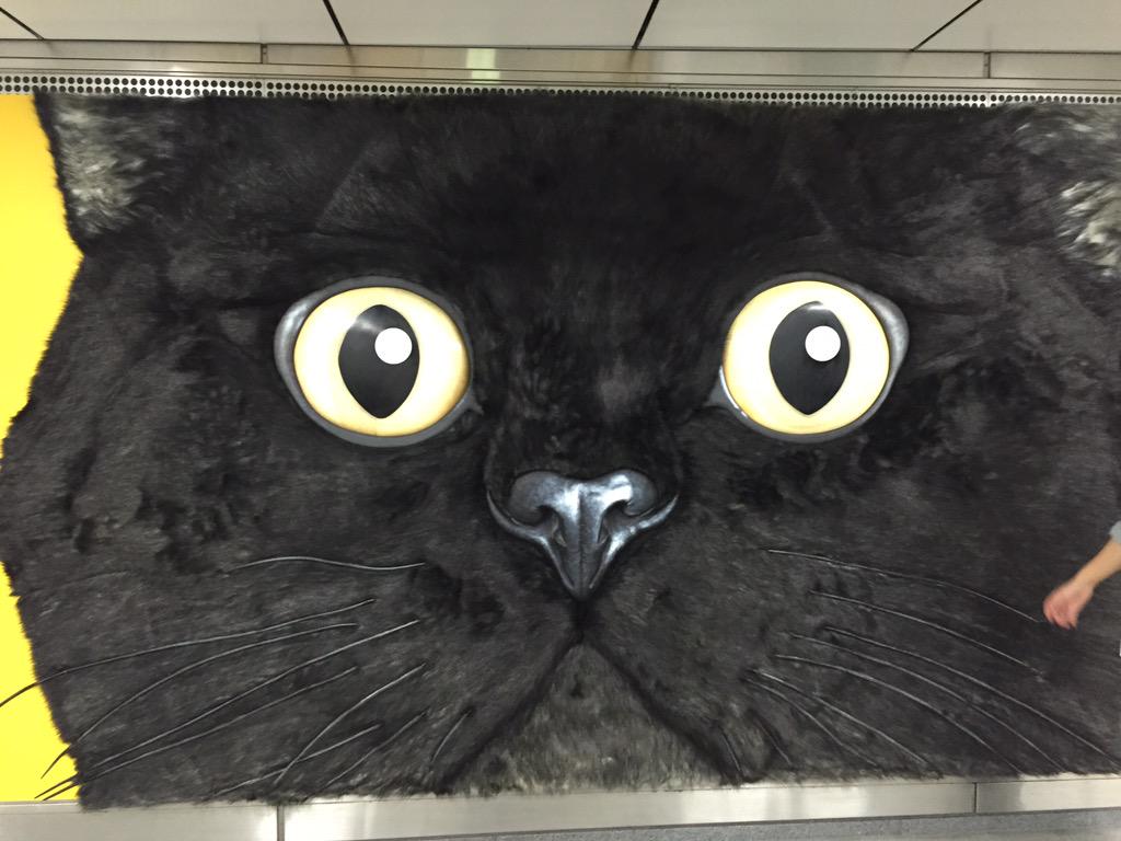 東横線渋谷駅通路クロネコヤマトの宣伝。 さわると、モフモフです。 手