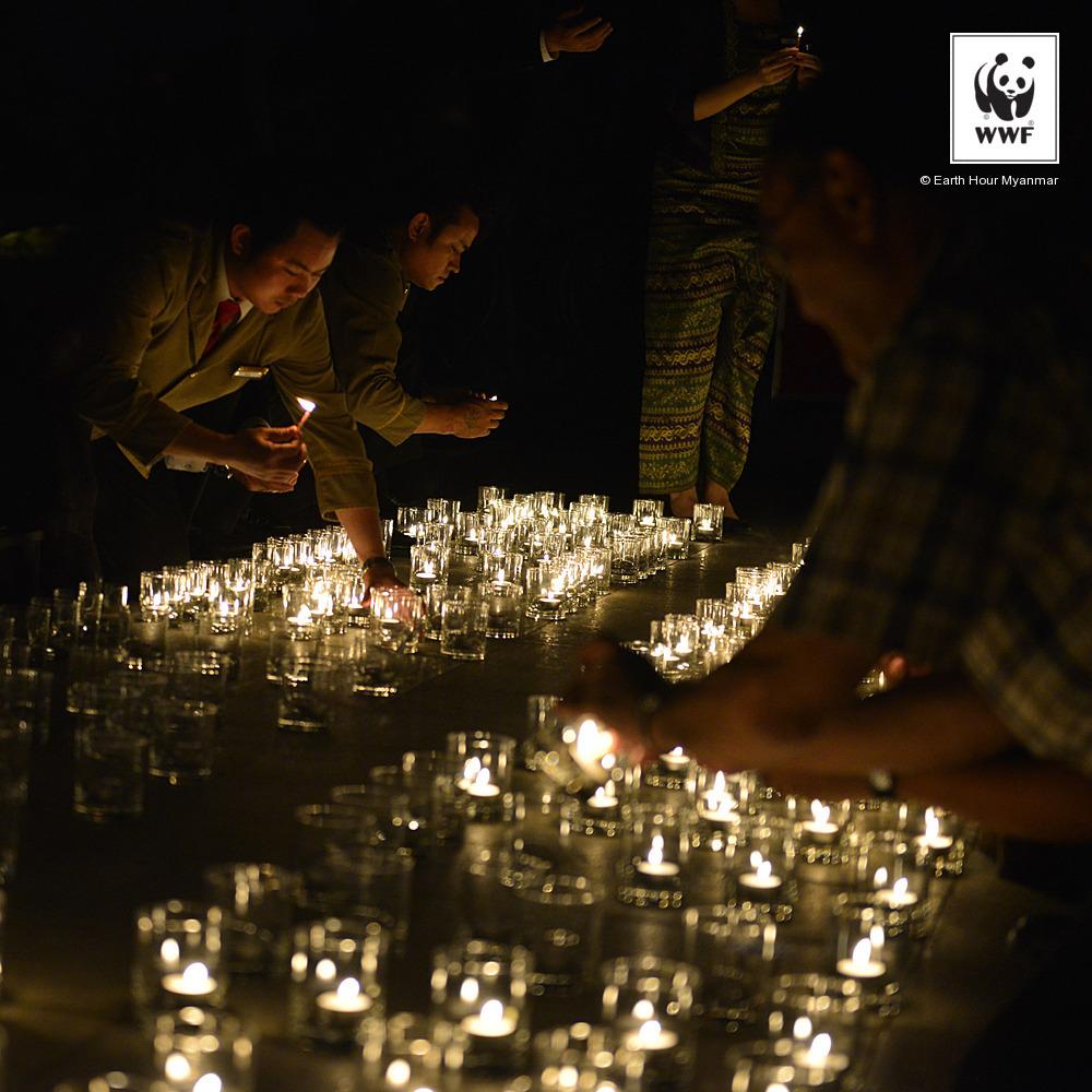 WWF tweet media