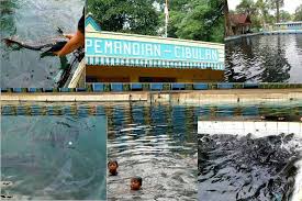 HotelMutiara's tweet photo. @iis_dahlia teh salamin buat anak akademi untuk semua,khusus nya endah,ega kuningan http://t.co/eKE2gyMxgC