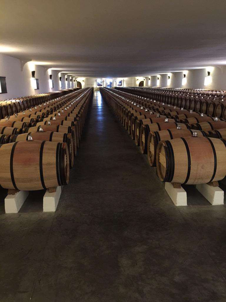Airoldi_D's tweet photo. Thanks @elebrozec for this #primeurs2014 tasting including @DArmailhac #ClercMilon #MoutonRothschild &amp; quick visit http://t.co/SQyC6uIMee