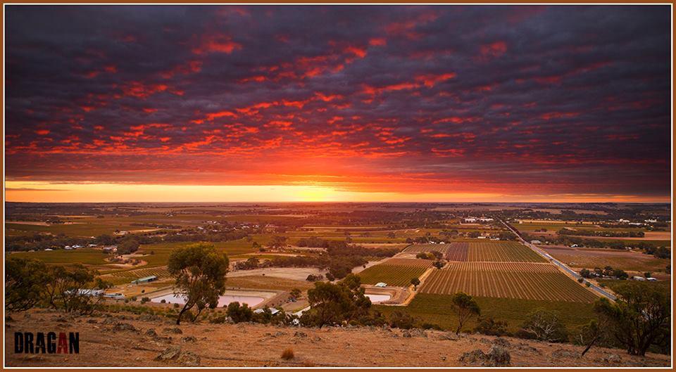 Great pic of #Barossa by facebook.com/DraganRadocajP… #Wine #Adelaide #photography <a href="/JMiquelWine/">Julien Miquel #Wine</a> <a href="/winewankers/">The Wine Wankers 🍾🤛🎉🥂</a> <a href="/MrScottEddy/">Scott Eddy ✈️</a>