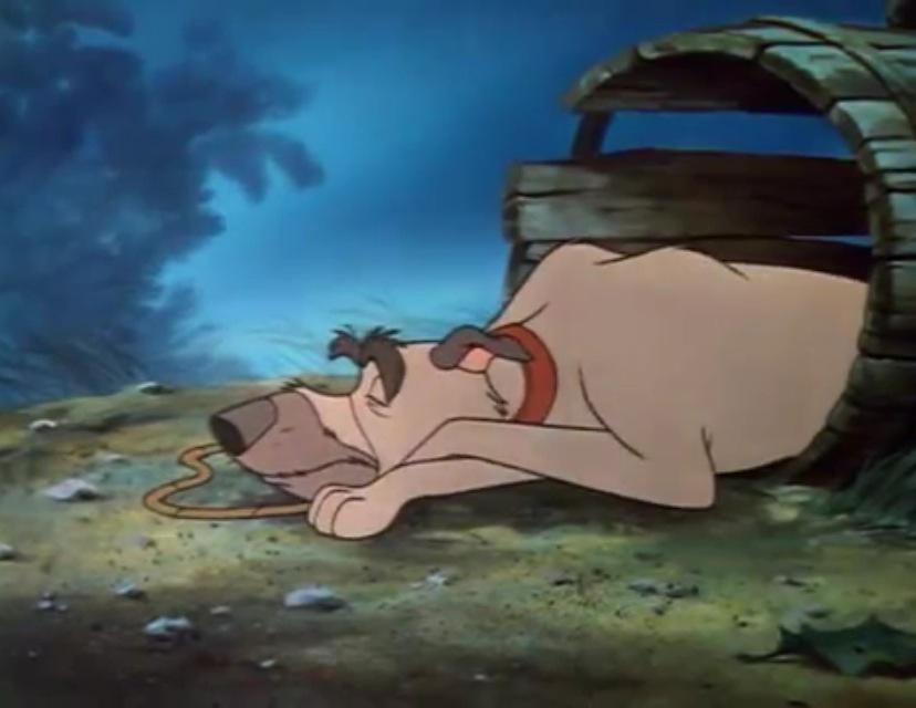 GrumpyGrey_Dog's tweet image. #OfflineForSleep