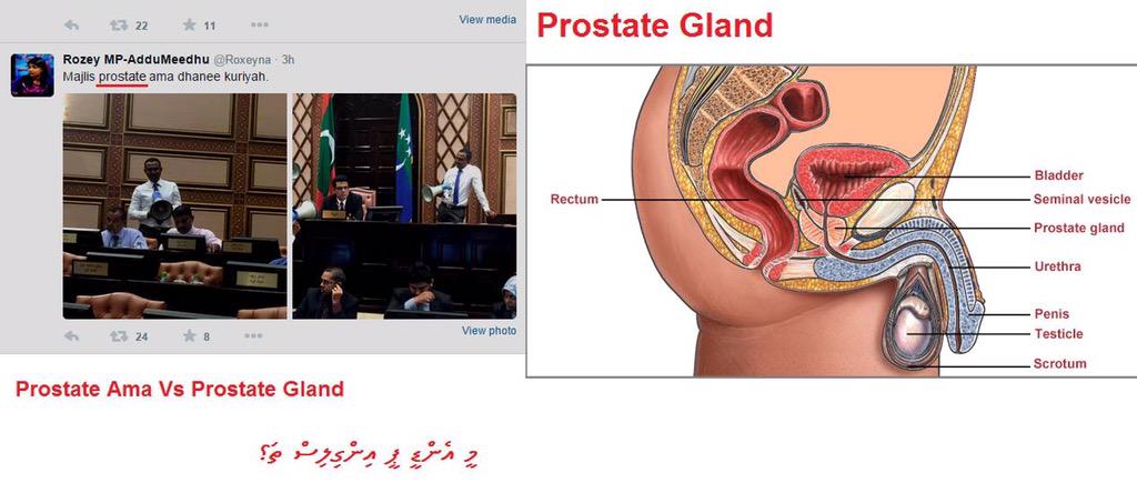 Ahm3dAly's tweet photo. #MDPEnglish http://t.co/q7xsysYqJO
