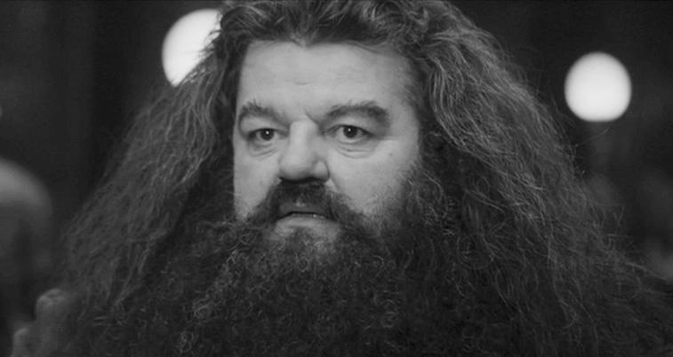  I shouldn t have said that I should not have said that. - Happy Birthday Robbie Coltrane! 