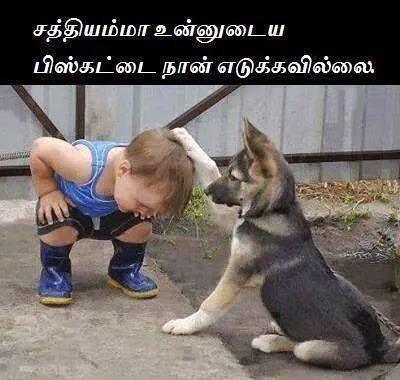arooz1995 tweet picture