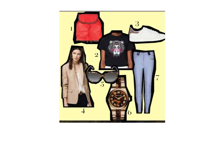 HorseCollection tweet picture