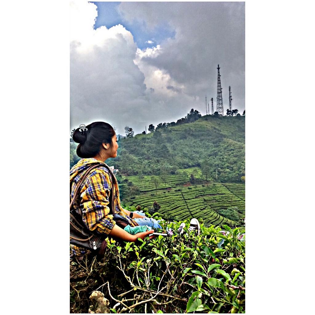 Mangi (@mangiherawati) on Twitter photo 