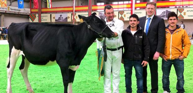 DTDirecto's tweet photo. H. Tobías Sid Silvy, NOVILLA GRAN CAMPEONA del concurso nacional de primavera de Torrelavega.  http://t.co/7XUfsnR8gF http://t.co/JhA8J0tzrX