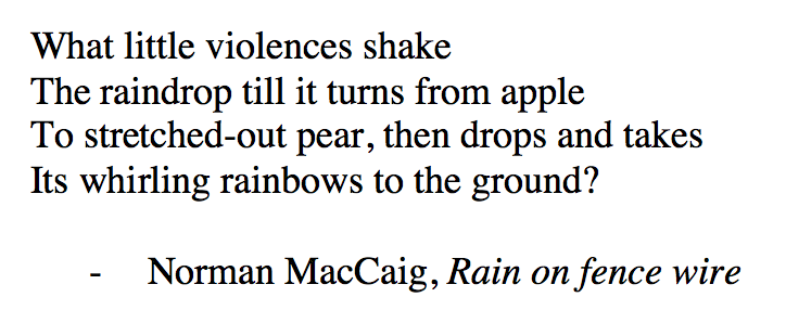 EdNapierPublish's tweet photo. It's a wet one out there today!
#projectmaccaig #scottishpoetry #rain @BirlinnBooks @PolygonBooks http://t.co/bqP5whjUHZ