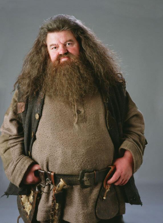 Happy Birthday Robbie Coltrane, our perfect Hagrid! 