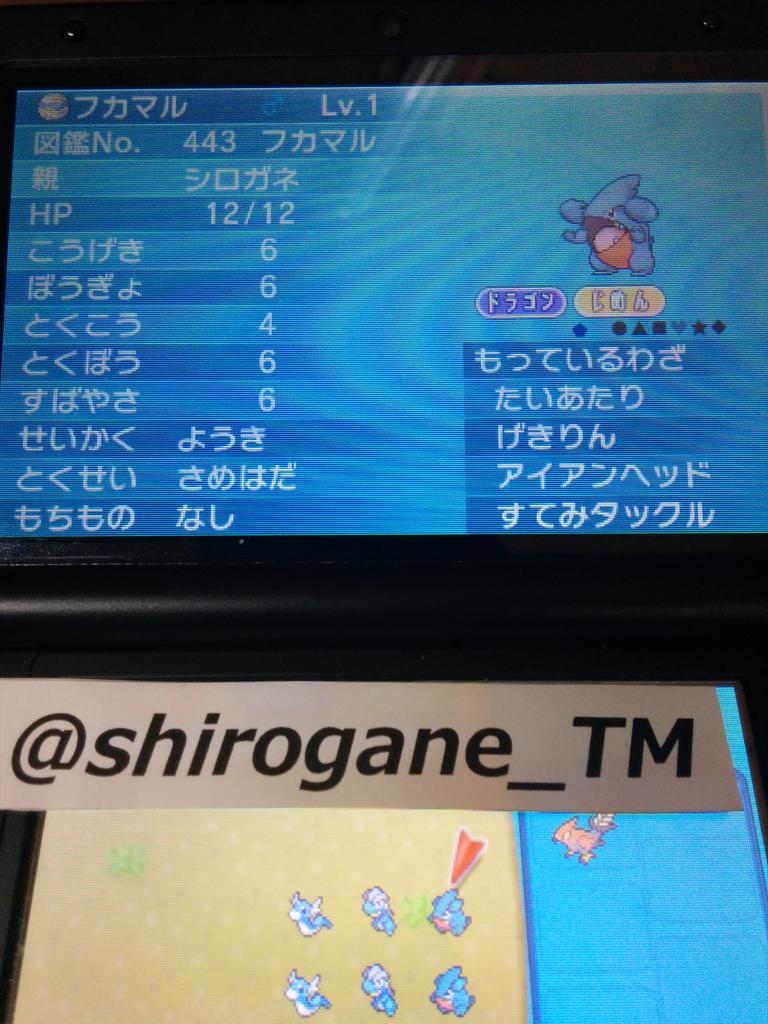ট ইট র アバンチュール 花騎士団長 Fatego ポケモン配布 全個体ゴジャボ入りc抜け5v 遺伝技は画像参照 夢ミニリュウ フル遺伝 タツベイ フル遺伝 夢フカマル 一部除いて遺伝 詳しくはhttps T Co Vbkj8glzqu 明日が募集最終日です ポケモン配布 Http T Co ট ইট র アバンチュール 花騎士団長 Fatego ポケモン配布 全個体ゴジャボ入りc抜け5v 遺伝技は画像参照 夢ミニリュウ フル遺伝 タツベイ フル遺伝 夢フカマル 一部除いて遺伝 詳しくはhttps T Co Vbkj8glzqu 明日が募集最終日です ポケモン配布 Http T Co