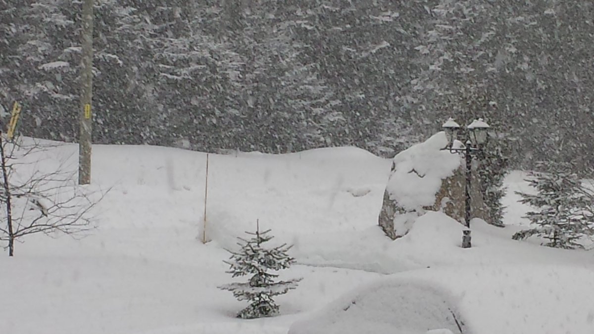 boumboum51's tweet photo. @VickyLatour_MM @meteomedia VOICI CE QUE NOUS AVONS CE MATIN À STE-ADÈLE. http://t.co/lPLpRh0QeR