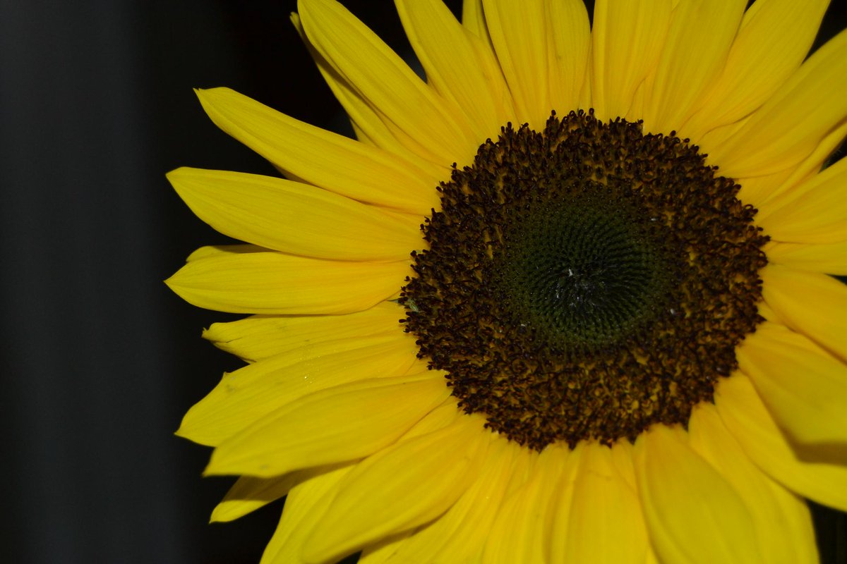 Emma Bagni Bagniemma Twitter