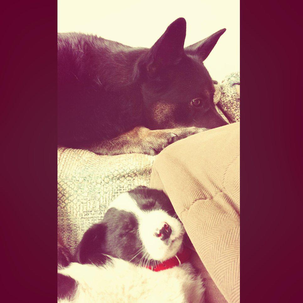 these two💕