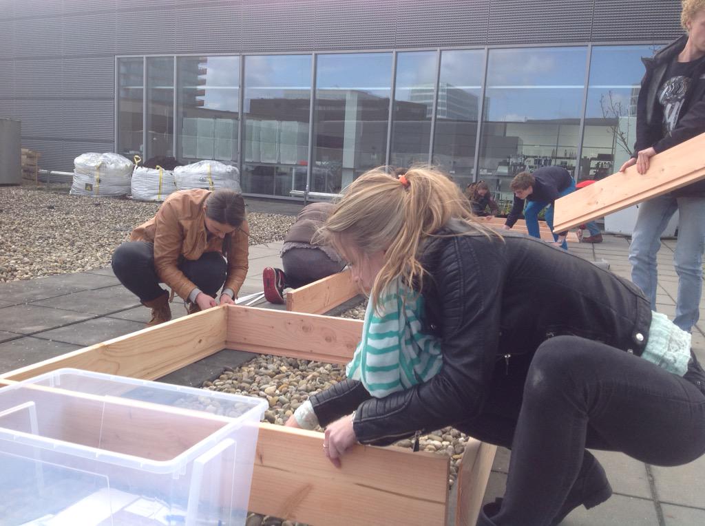 AereshboAlmere's tweet photo. En we zijn begonnen #stadslandbouw dak @hboalmere http://t.co/D0xznsjdqe