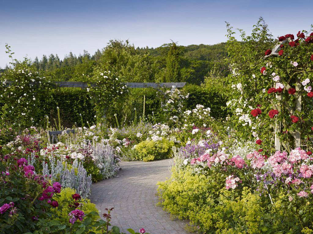 The_RHS's tweet photo. "To plant a garden is to believe in tomorrow" - Audrey Hepburn #greenspiration http://t.co/aQw2qipmJK