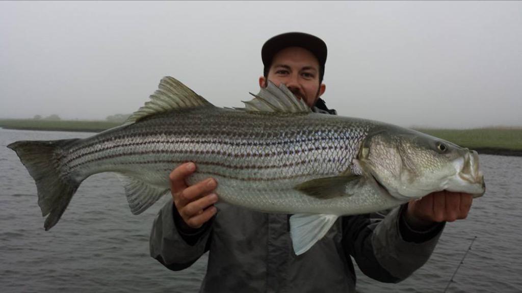 FishSlayerLLC tweet picture