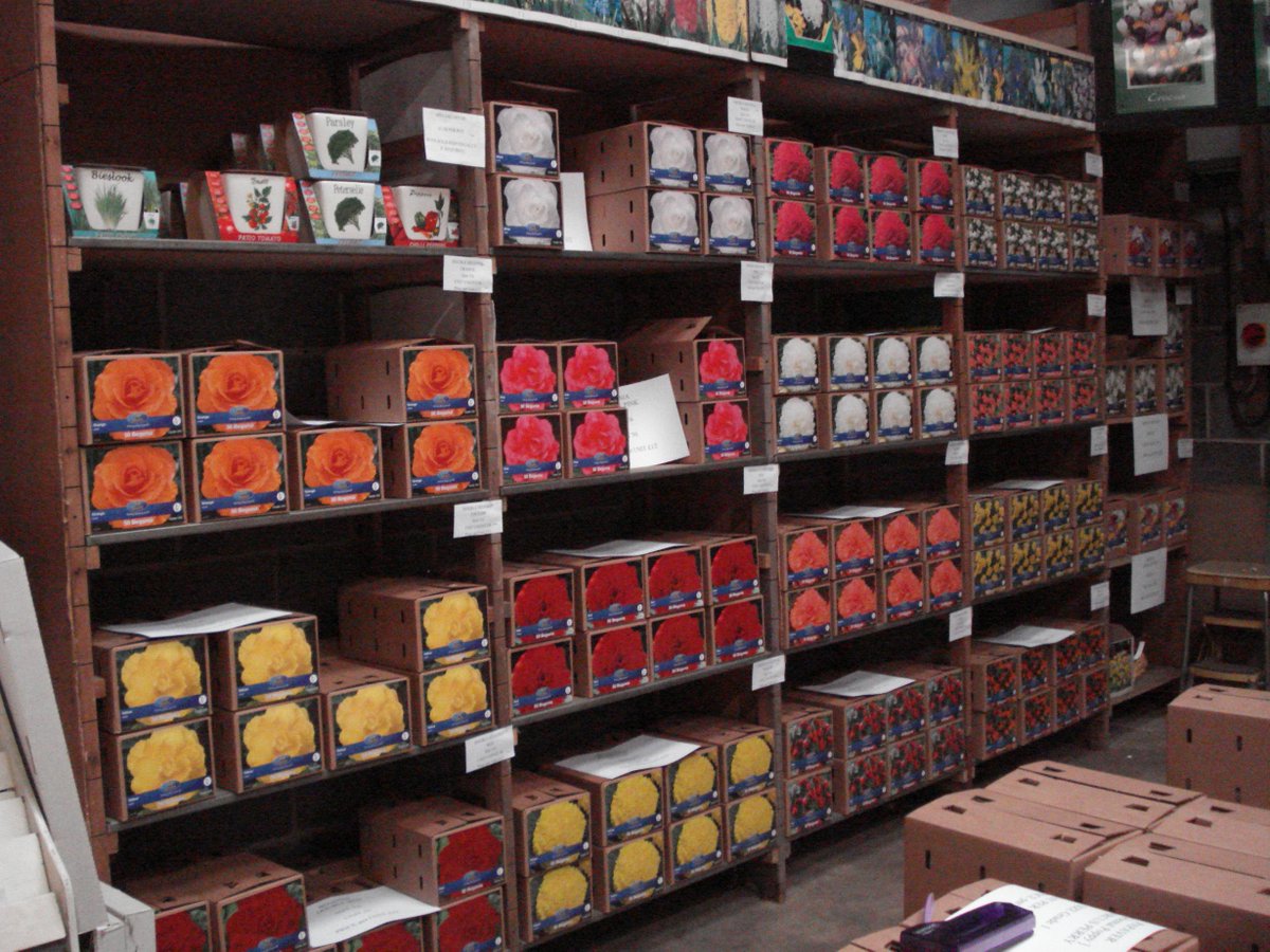 TopScoreBulbs's tweet image. Easter week-end is a popular one for planting. Be sure to get your seed potatoes, onions, bulbs from us in good time!