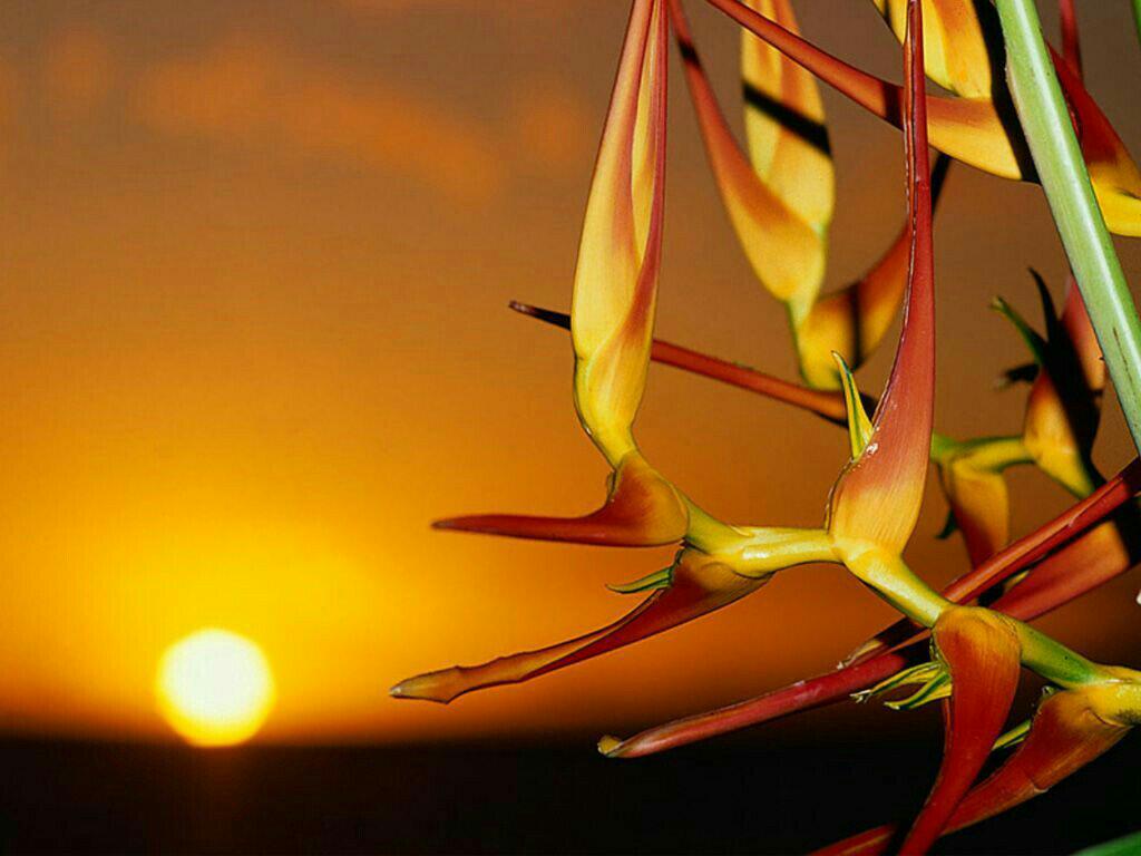 TugayHatayli's tweet photo. Wery Thanks @emmaw3377 @70cemil @JenaC2 http://t.co/cBx0IGIjQe
