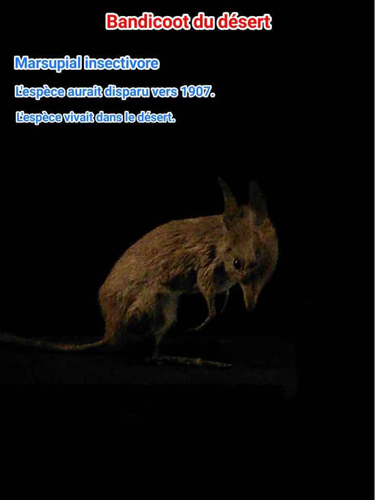 SVTSugerTab3's tweet photo. #BiodivGGE et #espèce http://t.co/gI22ItCCan