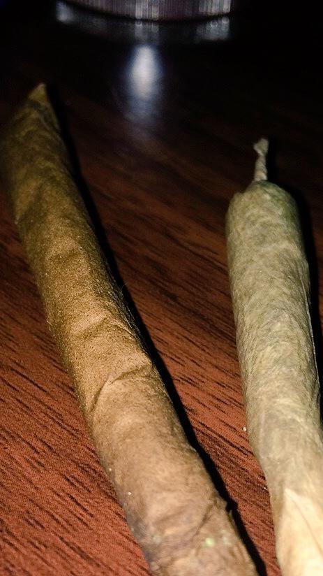 DailyWeedLife tweet picture