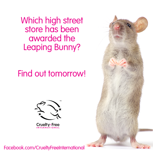thebuav's tweet photo. Tomorrow we’re going to tell you which big store has made the commitment to go cruelty free with the #LeapingBunny http://t.co/LMQtmIbEQ2